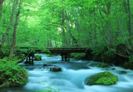 ◆長期派遣◆【青森県十和田市】 1月～　時給3500円　週6日　小川原駅より車で20分