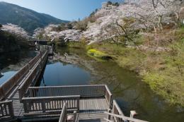 ◆長期派遣◆【浜松市】 8,9月/月,火,水,木,金,土 住居付き 時給3500円　
