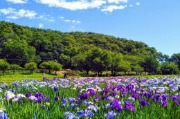 ◆単発派遣◆【東村山市】 1月/金・土 東村山駅から徒歩13分